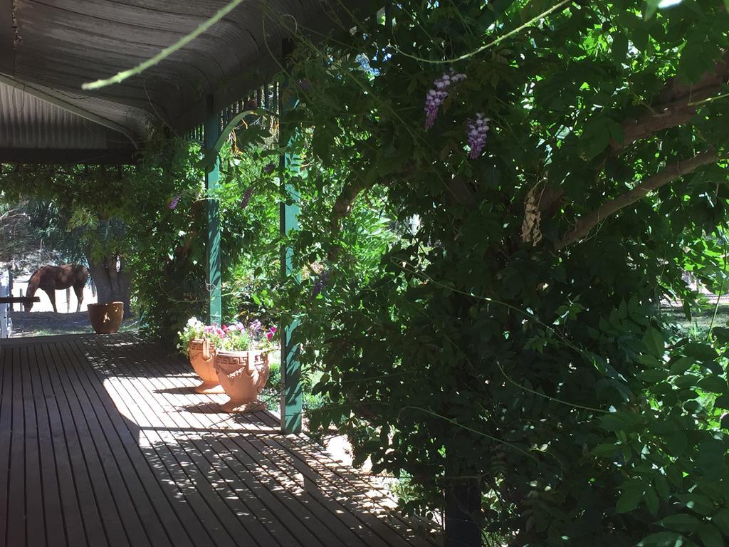 Birchwood Cottage Yarck Luaran gambar